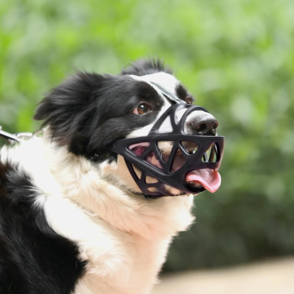 SafeBark Dog Muzzle – Effective Anti-Bite and Anti-Bark Solution, Breathable and Comfortable | Stornfield