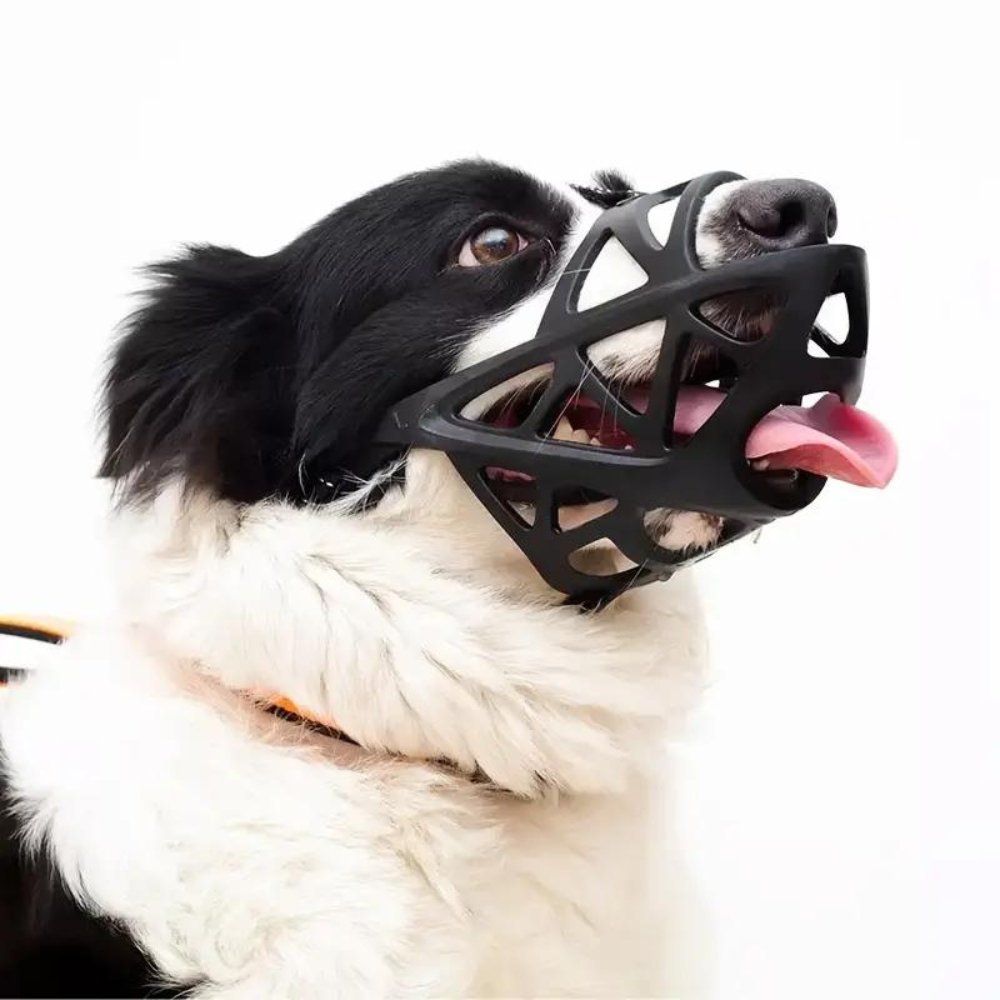 SafeBark Dog Muzzle – Effective Anti-Bite and Anti-Bark Solution, Breathable and Comfortable | Stornfield