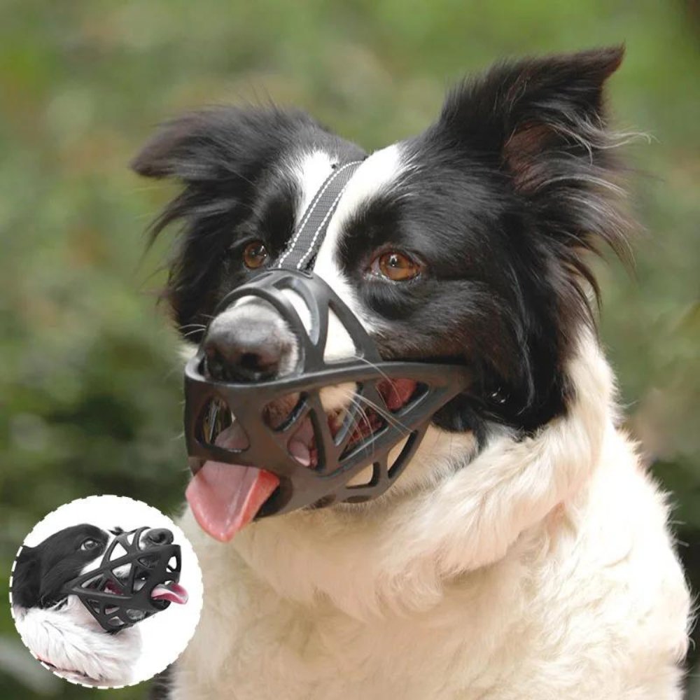 SafeBark Dog Muzzle – Effective Anti-Bite and Anti-Bark Solution, Breathable and Comfortable | Stornfield