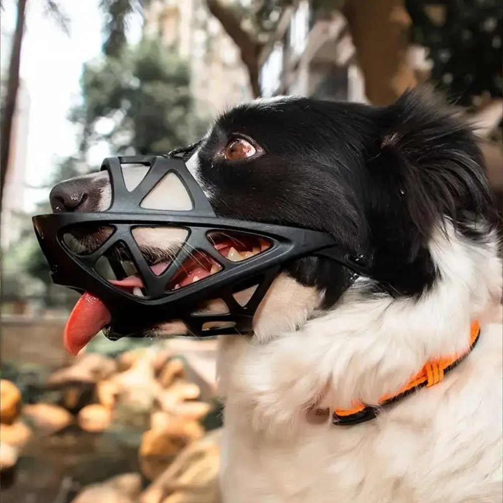 SafeBark Dog Muzzle – Effective Anti-Bite and Anti-Bark Solution, Breathable and Comfortable | Stornfield