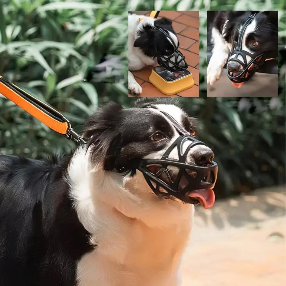 SafeBark Dog Muzzle – Effective Anti-Bite and Anti-Bark Solution, Breathable and Comfortable | Stornfield