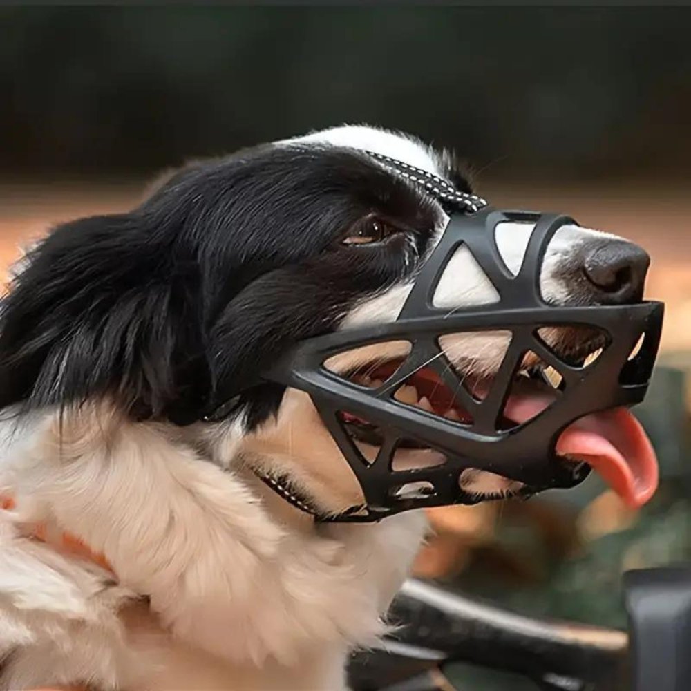 SafeBark Dog Muzzle – Effective Anti-Bite and Anti-Bark Solution, Breathable and Comfortable | Stornfield