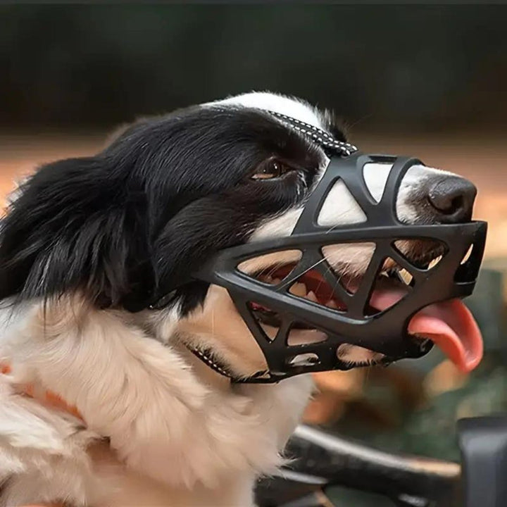 SafeBark Dog Muzzle – Effective Anti-Bite and Anti-Bark Solution, Breathable and Comfortable | Stornfield