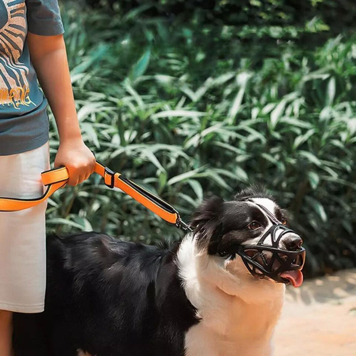 SafeBark Dog Muzzle – Effective Anti-Bite and Anti-Bark Solution, Breathable and Comfortable | Stornfield