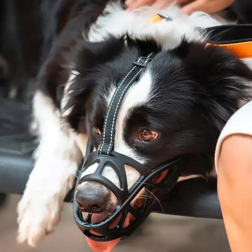 SafeBark Dog Muzzle – Effective Anti-Bite and Anti-Bark Solution, Breathable and Comfortable | Stornfield