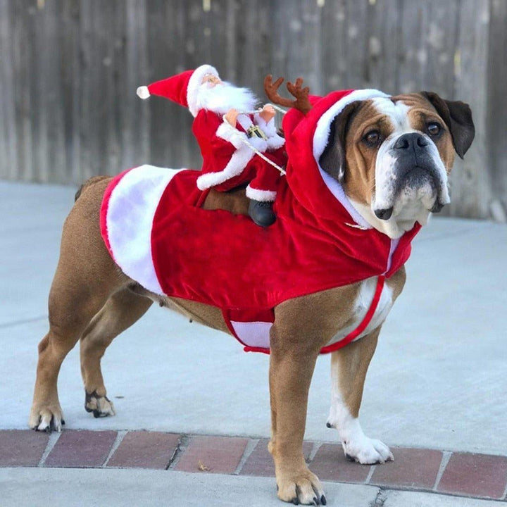 Christmas Santa Dog Costume | Stornfield