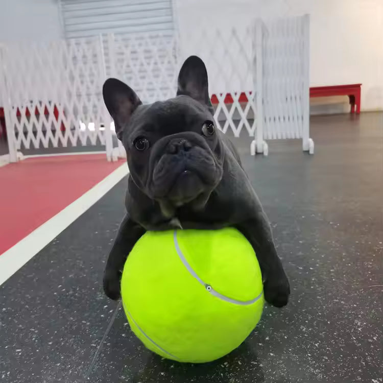Stornfield extra-large dog tennis ball