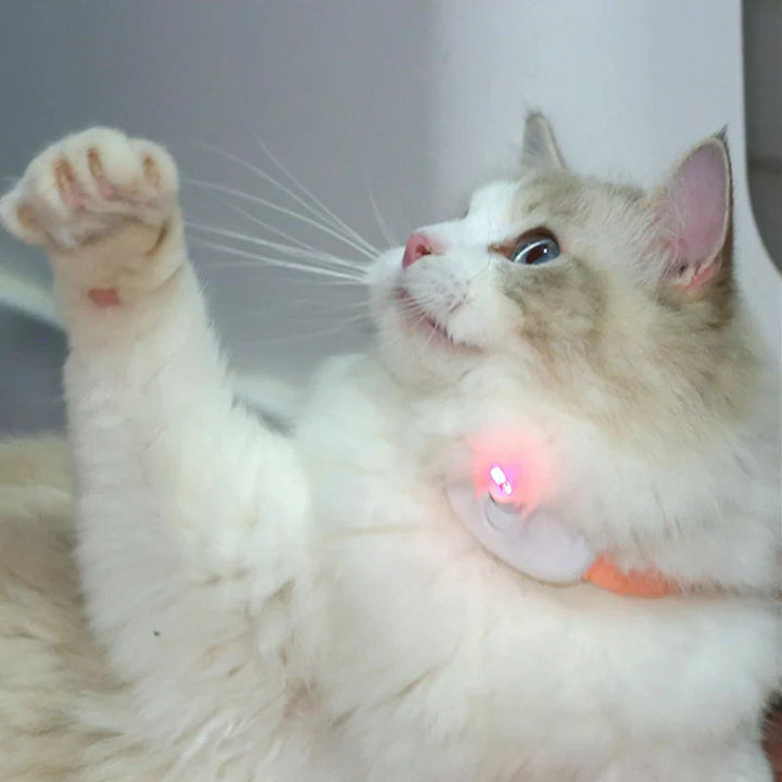 Freesthetic Laser Collar for Cats Stornfield