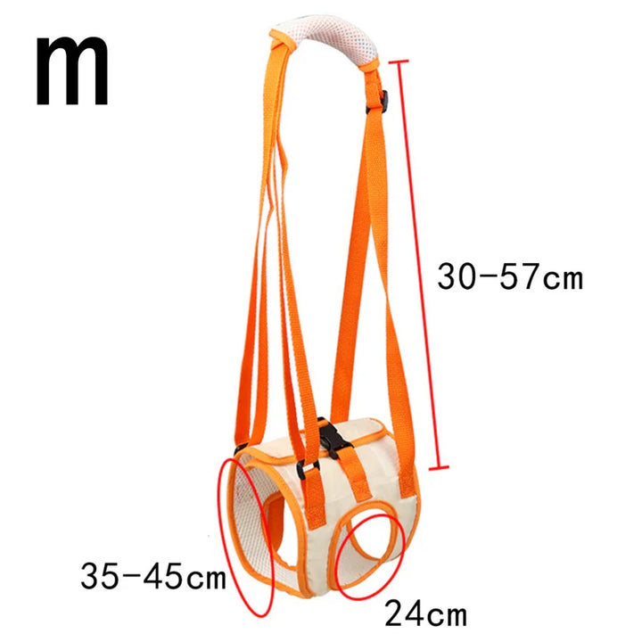 Stornfield ergonomic lifting harness for dog hind legs