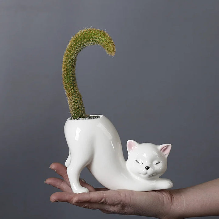 Cute Cat Flower Pot - Glazed Porcelain Succulent Planter | Stornfield