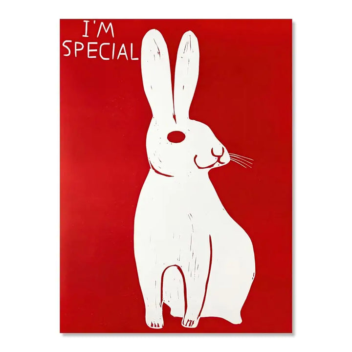 Stornfield | David Shrigley Rabbit Cat Wine Biscuit Train Wall Art Abstract Prints Canvas Painting Nordic Poster Pictures Living Room Decor