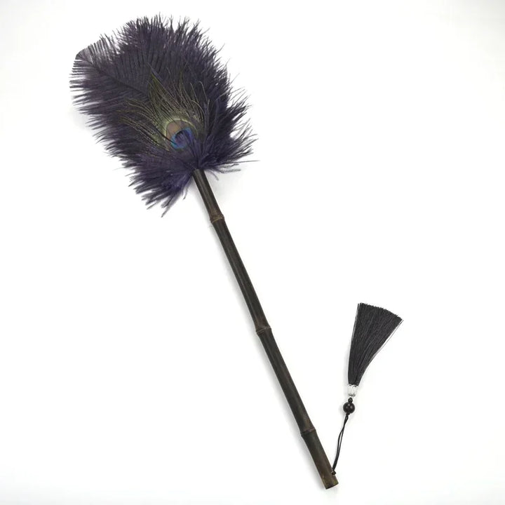 Peacock Feather Anti-Static Dusting Brush | Stornfield