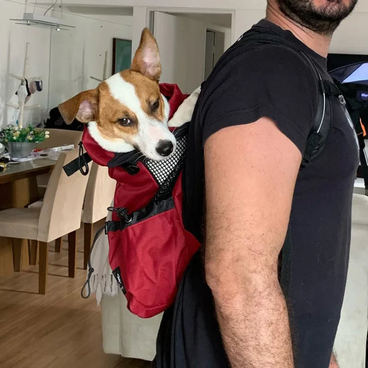 Dog backpack for outdoor & travel breathable Stornfield