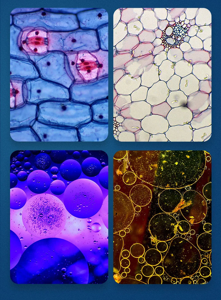 Stornfield | Portable HD Optical Adventure Microscope