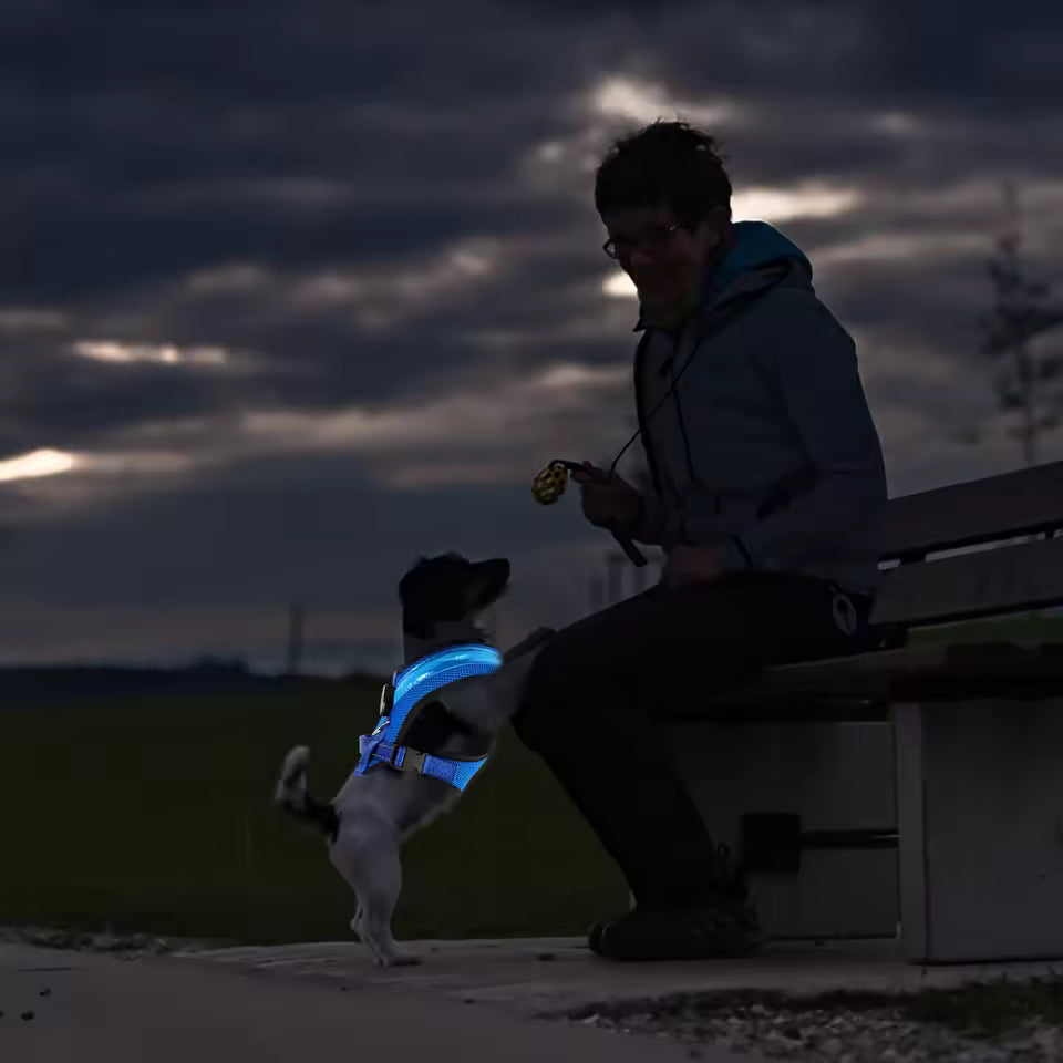 LED Dog Harness USB Rechargeable & Adjustable Stornfield