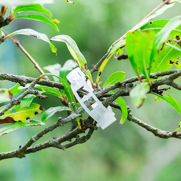 Green Garden Safe Plant Support Clips | Stornfield