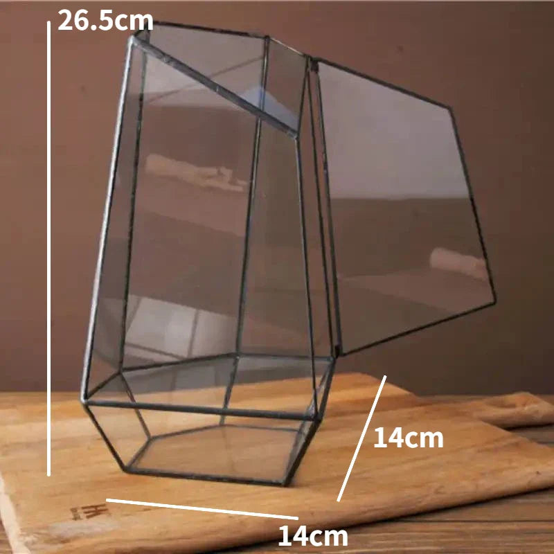 Modern Geometric Nature-Inspired Botanical Terrarium | Stornfield