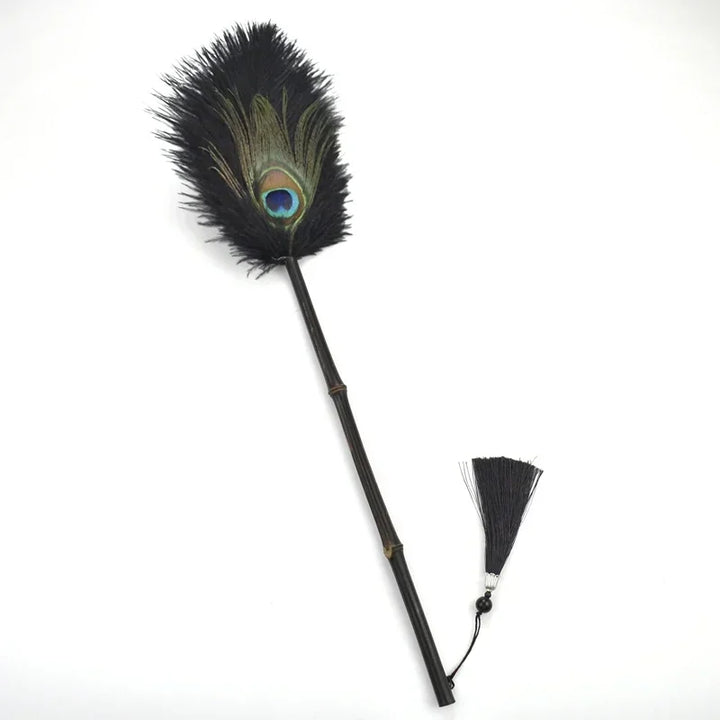 Peacock Feather Anti-Static Dusting Brush | Stornfield
