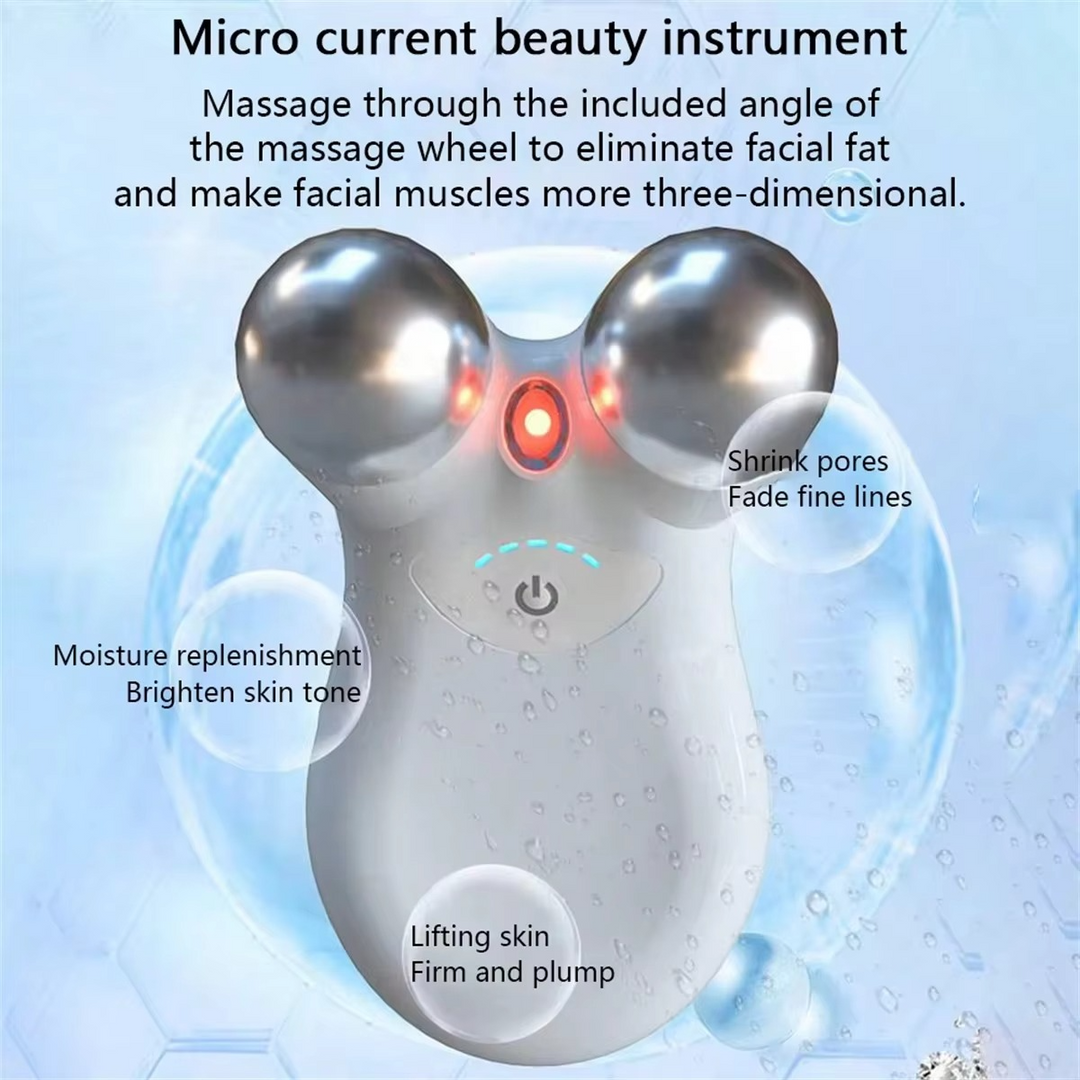 Stornfield | Dual-Head RF & EMS Microcurrent Facial Rejuvenation Device