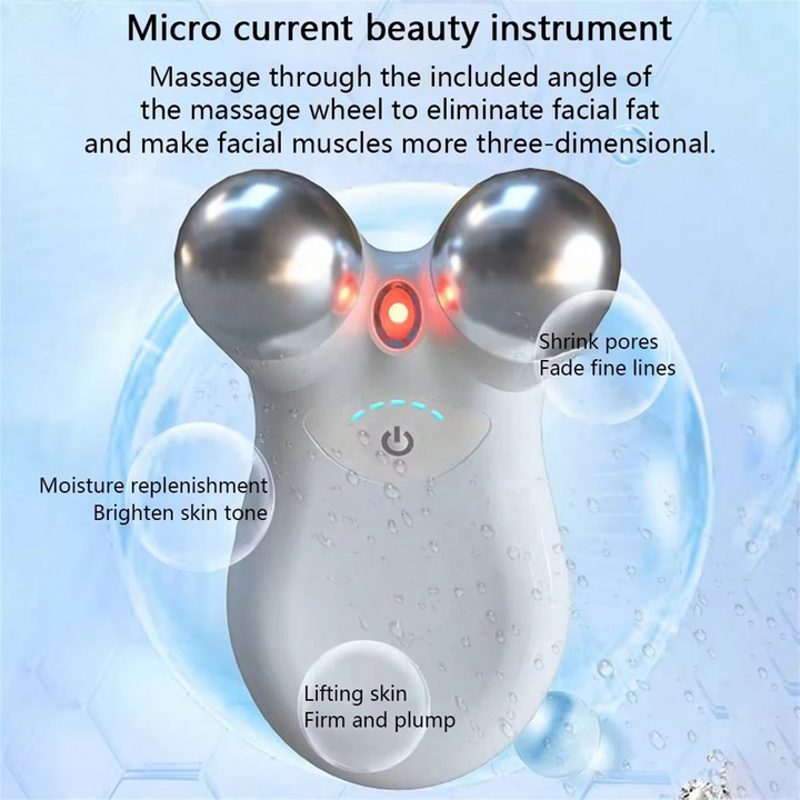 Stornfield | Dual-Head RF & EMS Microcurrent Facial Rejuvenation Device
