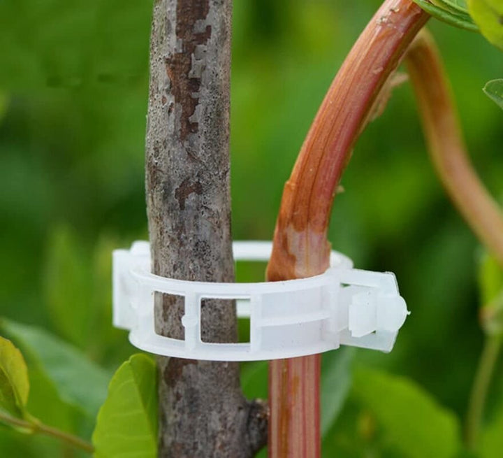 Green Garden Safe Plant Support Clips | Stornfield