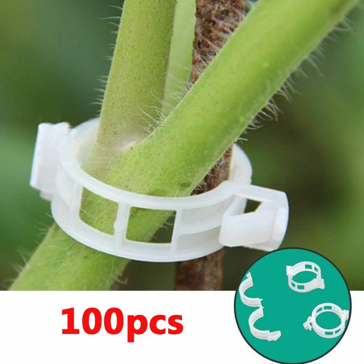 Green Garden Safe Plant Support Clips | Stornfield