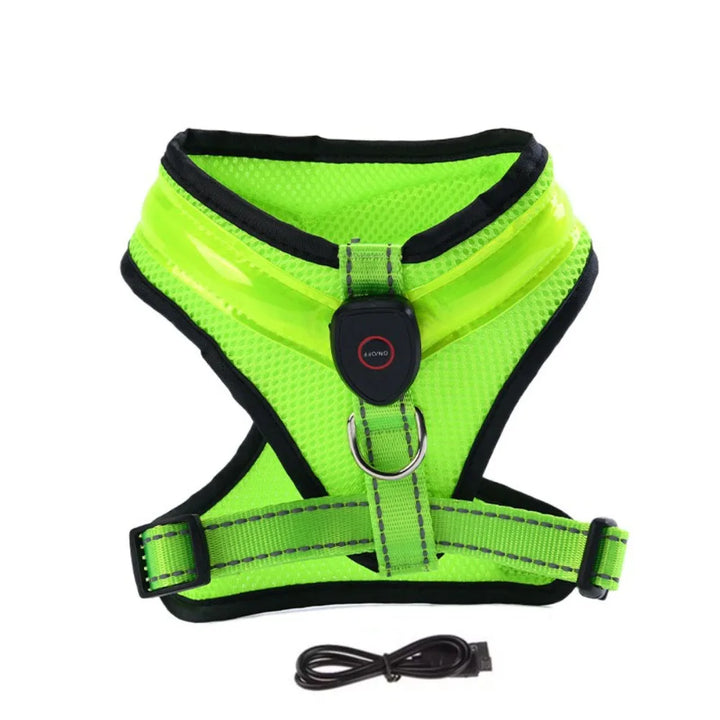 LED Dog Harness USB Rechargeable & Adjustable Stornfield