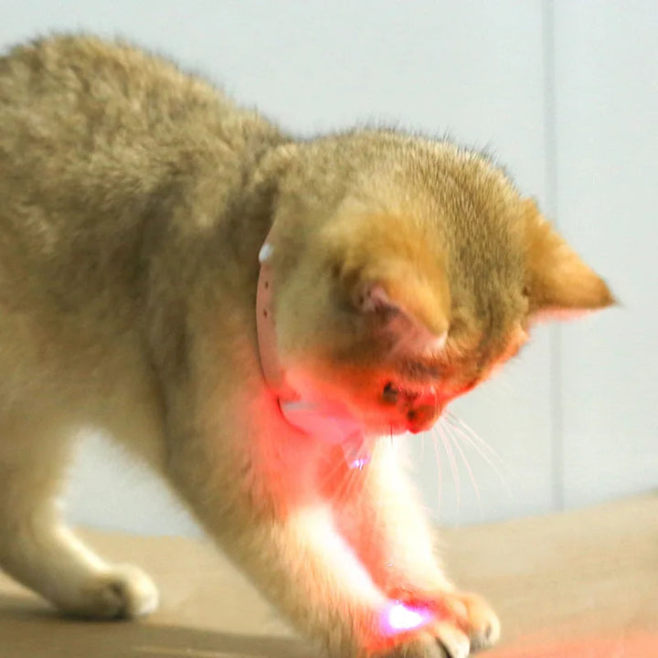 Freesthetic Laser Collar for Cats Stornfield