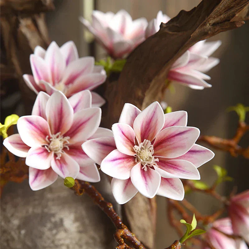 Stornfield | Artificial Magnolia Flowers