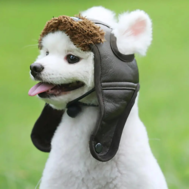Winter pilot cap for pets warm and comfortable Stornfield