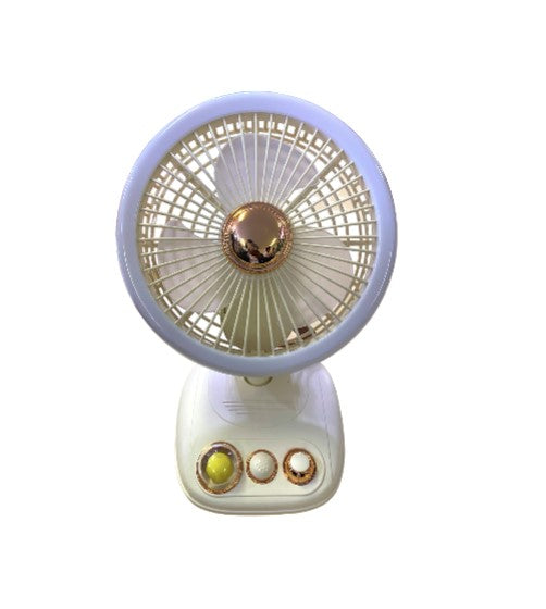 Rechargeable Mini Indoor/Outdoor Floor Fan | Stornfield