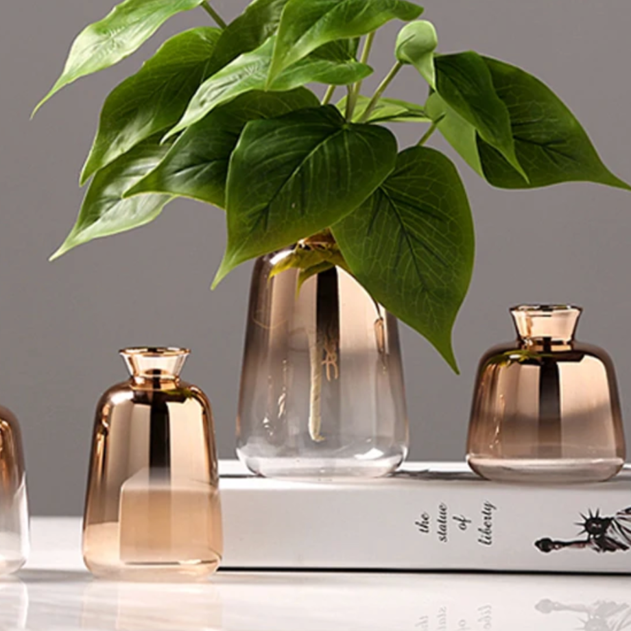 Gradient Vases Stornfield