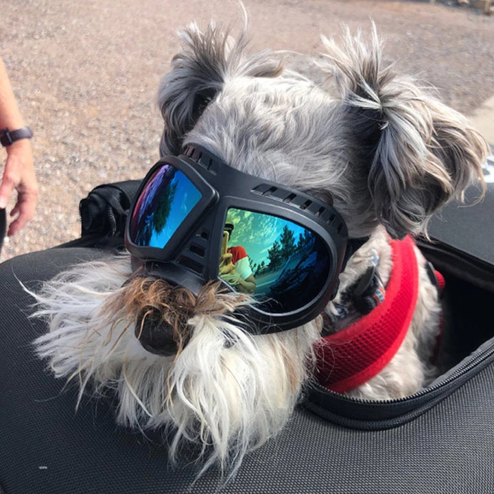 Stornfield Shadow Dog Goggles