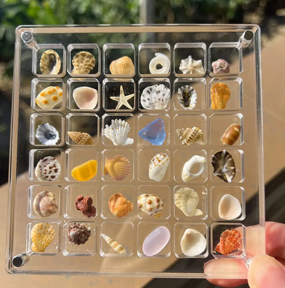 Acrylic Treasure Keeper | Stylishly Store Your Sea Collection | Stornfield