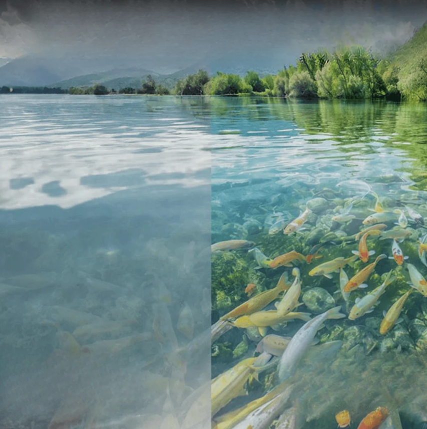 Polarized sunglasses for anglers | Secure fit & Long-lasting comfort | Stornfield