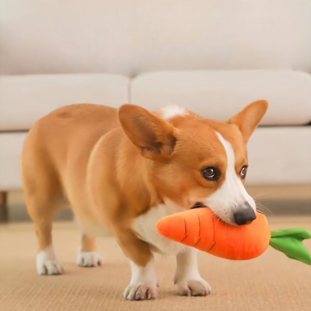 Stornfield Carrot Plush