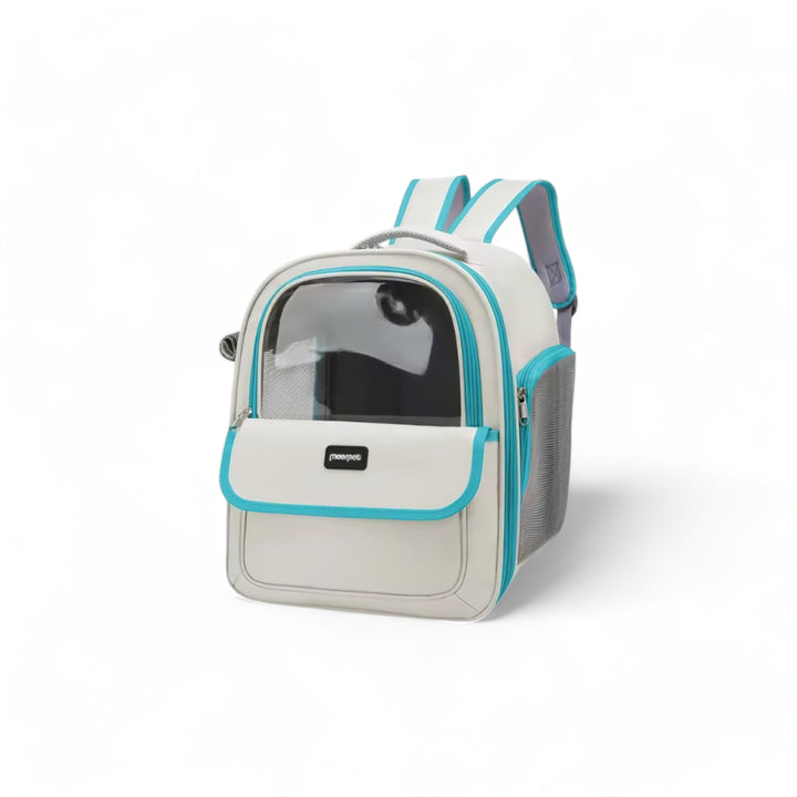Stornfield Clear Backpack