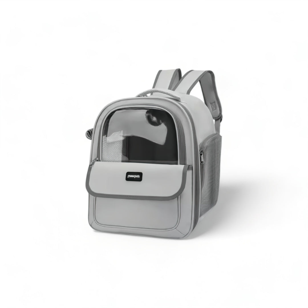 Stornfield Clear Backpack