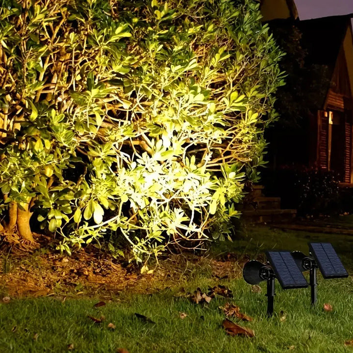 SolarBeam Outdoor Solar Spotlight with Stake for Stornfield Landscaping