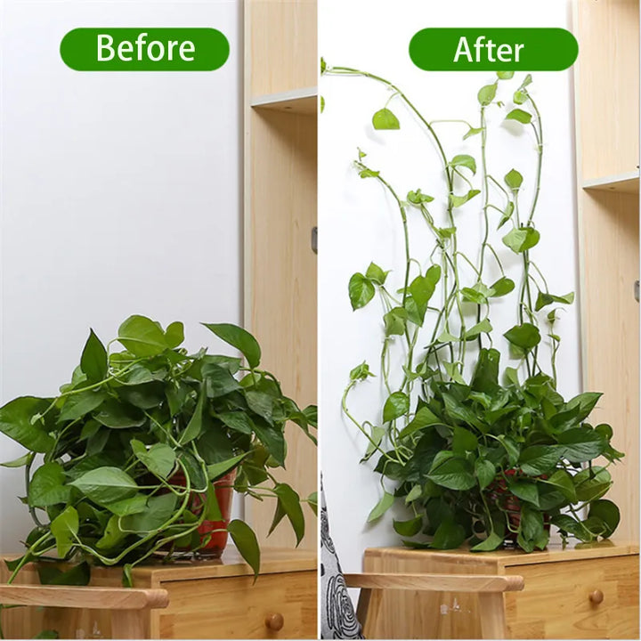 Self-Adhesive Plant Holder Mini Wall Clips | Stornfield