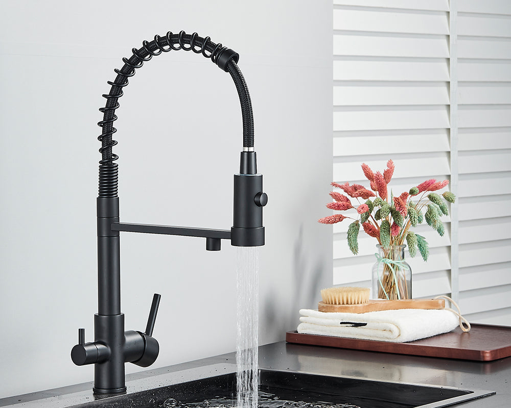 Sandsberg Black Filter Kitchen Faucet with Dual Outlet – Mixing Tap with Water Filter for Kitchens, Water Treatment and Cleaning | Stornfield
