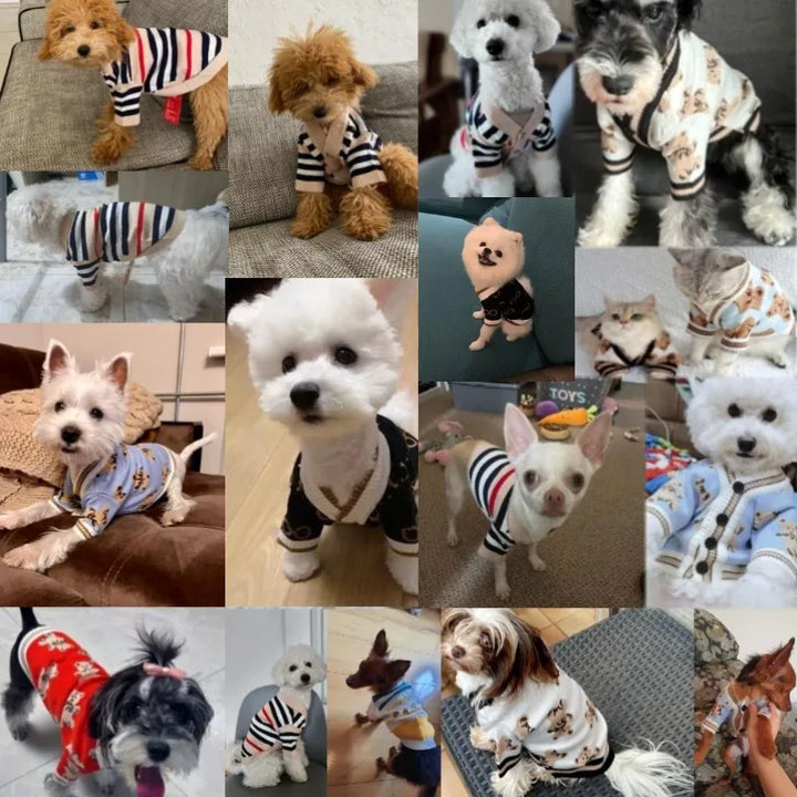 Stornfield striped knit warm dog cardigan