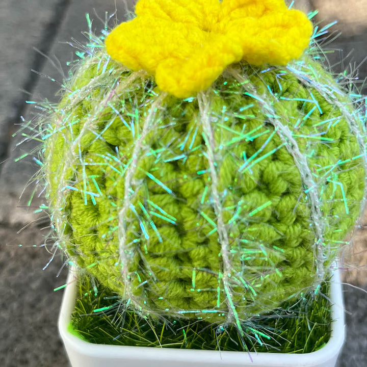 Cactus Plant (Hand-Knitted)