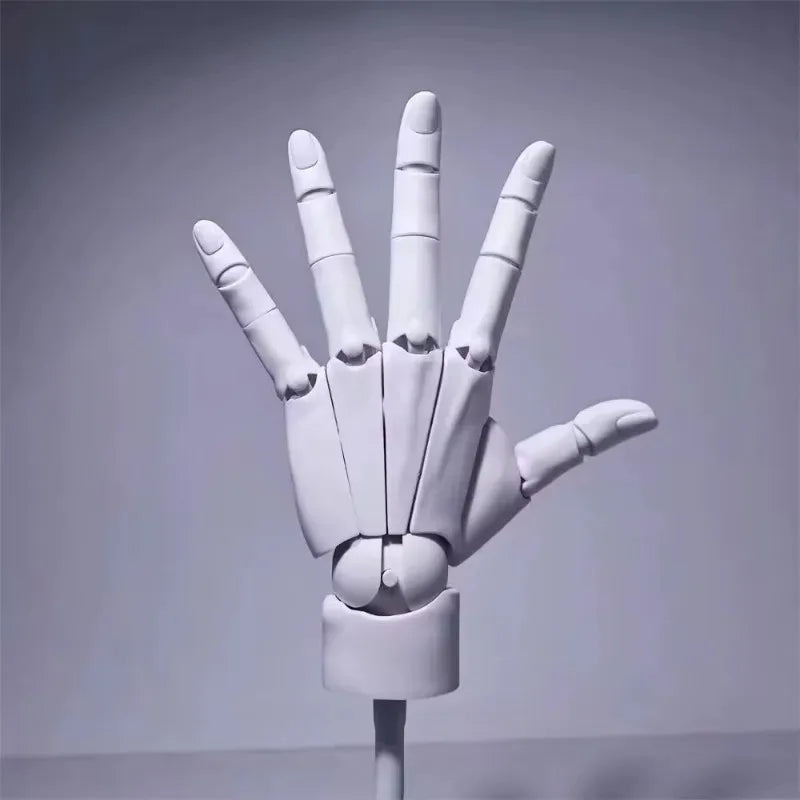 Multi-Pose Drawing Sculpting Art Hand Model | Stornfield