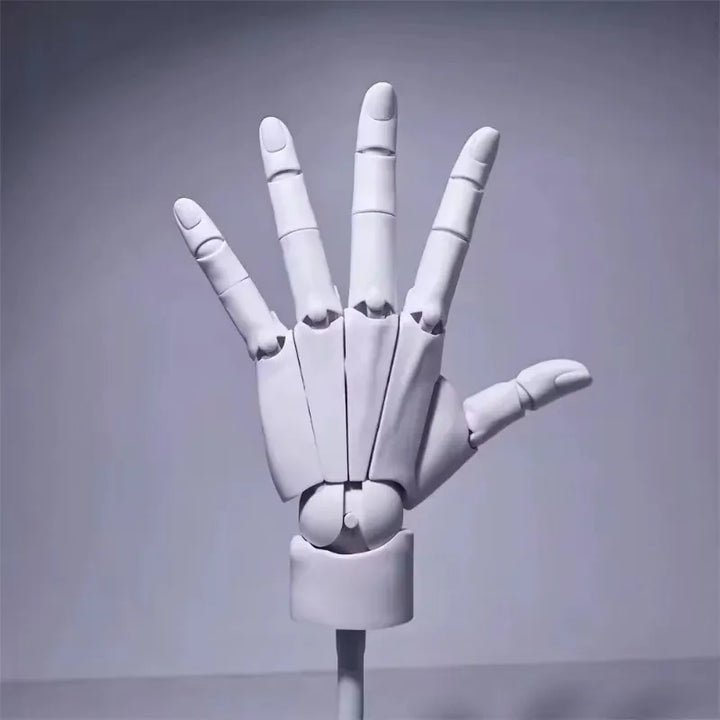 Multi-Pose Drawing Sculpting Art Hand Model | Stornfield