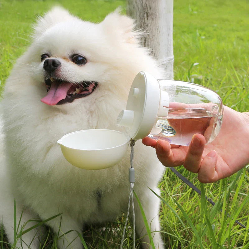 Stornfield Portable Water Bottle for Dogs & Cats