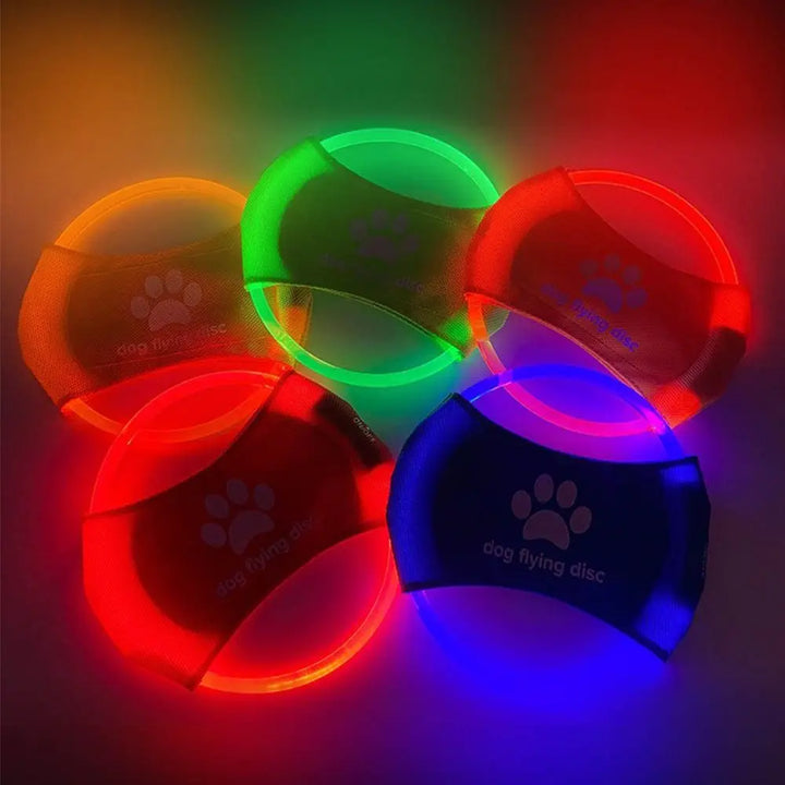 LED Frisbee for dogs, rechargeable and waterproof, Stornfield