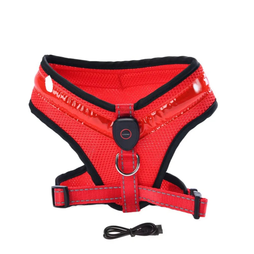 LED Dog Harness USB Rechargeable & Adjustable Stornfield