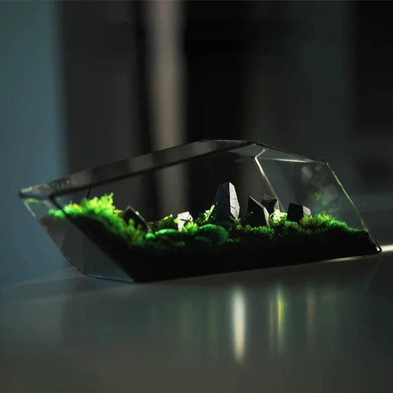 Geometric Glass Moss Planter Terrarium Vase | Stornfield