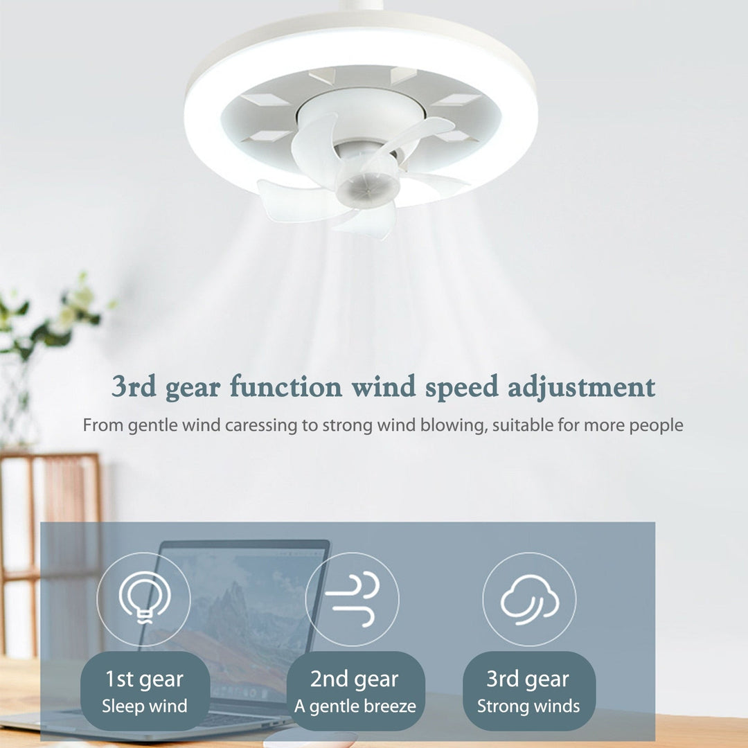 Ceiling Fan Light | Stornfield